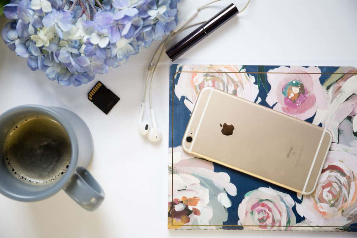 Stocksnap 48q6ptcdlv sized